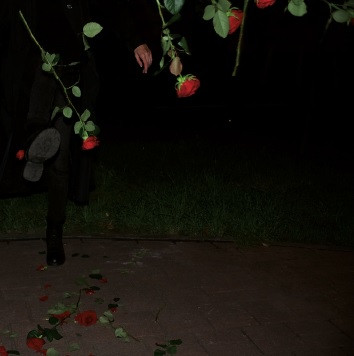 Nastia Reigel — Disarm to Surrender