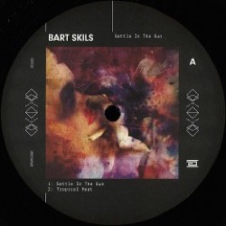 Bart Skils — Settle In The Sun