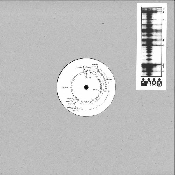 CRISPR — Dyad Symmetry EP