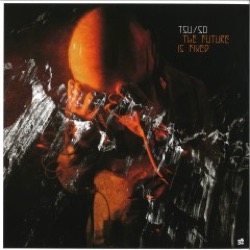 Various Artists — The Future is Fixed (2x12Inch)