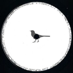 Cosmonaut — Cuts Ep
