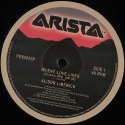 Alison Limerick — Where Love Lives