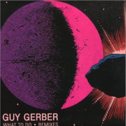 Guy Gerber — What To Do (Remixes)