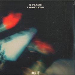 G Flame — I Want You