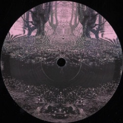 Various Artists — Dream Rush Ep