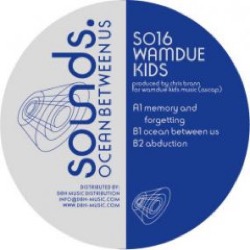 Wamdue Kids — Ocean Between Us