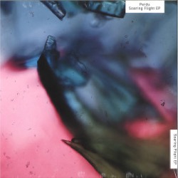 Perdu — Soaring Flight EP
