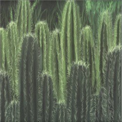 Tim Engelhardt — Prophecy EP