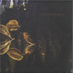 Placid Angles — Touch The Earth (3x12Inch)