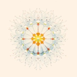 Charlie Charlie — Litte Things (LP)