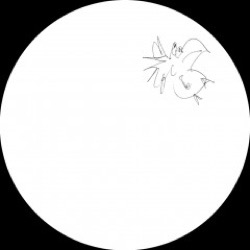 Nikki Nair — More Is Different