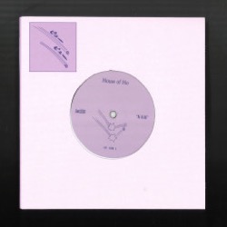 House of Ho — Ai Ai Ai / Please Hold (7 Inch)