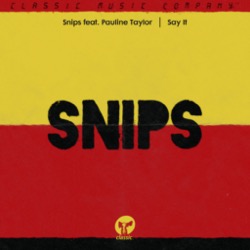 Snips featuring Pauline Taylor — Say It