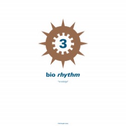 Various Artists — Bio Rhythm 3 (2xLP)