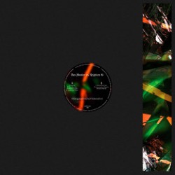 Das Muster / Krypton 81 — Intergalaktische Föderation