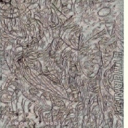 Simona Zamboli — Ethernity