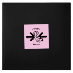 Dj Steve — Secret Touch Ep