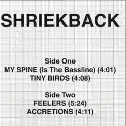 Schriekback — My Spine Is The Bass Line