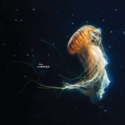 Yuichiro Kotani & Hiroyuki Kajino — A Dance of the Wind feat. Atsushi Asada