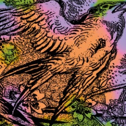 Various — One Swallow Doesn't Make A Summer Part 4