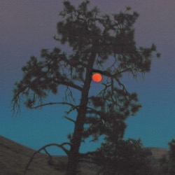 Sansibar — Sans Musique