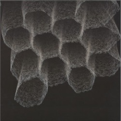 Ritzi Lee — Negentropy 1.3 - Foundations