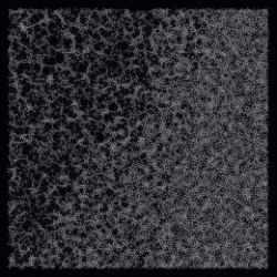 Ritzi Lee — Negentropy 1.2 - The Uprising