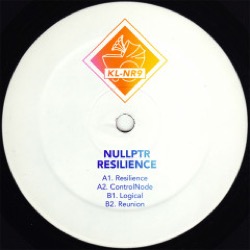 Nullptr — Resilience