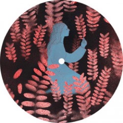 Carlo — The Night Forest