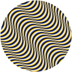 Frankey & Sandrino — Optical