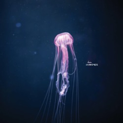 Bona Fide & Luka Sambe — The Lost Orchestra
