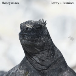Honeysmack — Entity (Remixes)