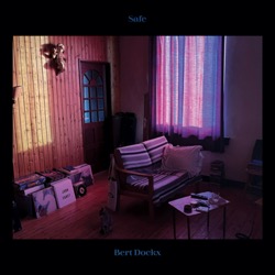 Bert Dockx — Safe