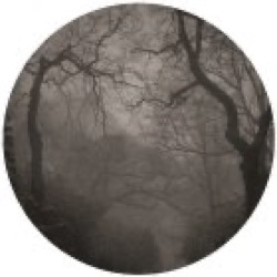 Drvg Cvltvre — Dark Omen