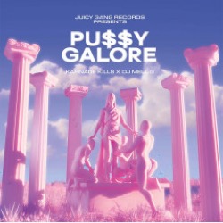 Karnage Kills / Dj Mell G — Pu$$y Galore