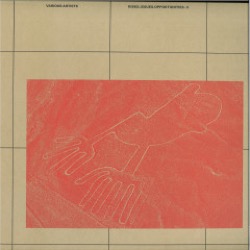 Various Artists — Risks Issues Opportunities 2