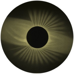 Nico Stojan & Tooker — Frisbee