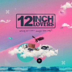Various — 12 Inch Lovers 5