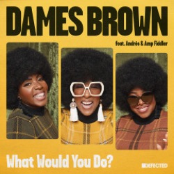 James Brown featuring Andrés & Amp Fiddler — What Would You Do?