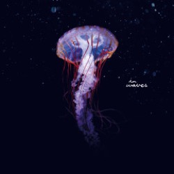 Flowers On Monday — Pirates Of The Sun