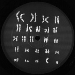 Jokasti / Nek — Emmanuel Ep