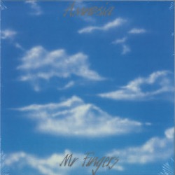 Mr Fingers — Amnesia
