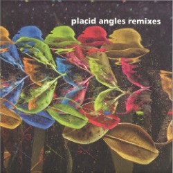 Placid Angles — Touch The Earth Remixes