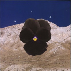 Archil / Leon — Blooming