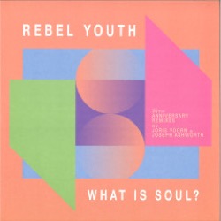 Rebel Youth — What Is Soul? (30th Anniversary Remixes)