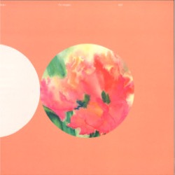 ZONE+ — For Angels
