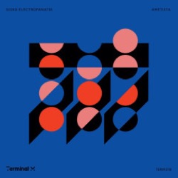 Sisko Electrofanatik — Ametista