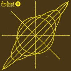 Ambient Warrior — II