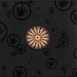 Len Vitz / Charlie Iapicone — Playhouse