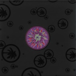 Joshwa — Bass Go Boom